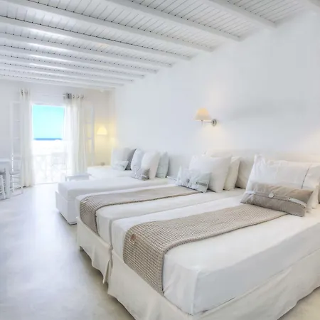 Andronis Minois Hotel 5*